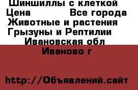 Шиншиллы с клеткой › Цена ­ 8 000 - Все города Животные и растения » Грызуны и Рептилии   . Ивановская обл.,Иваново г.